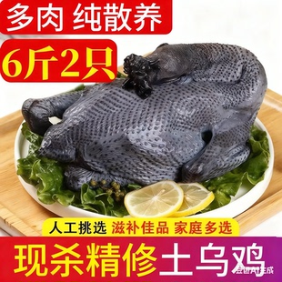乌鸡新鲜现杀农家散养白羽乌骨鸡冷冻正宗月子鸡跑山鸡走地鸡土鸡