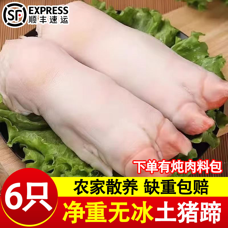 猪蹄冷冻批发带筋商用猪脚生鲜整个猪手新鲜前蹄后蹄整箱猪肉大个