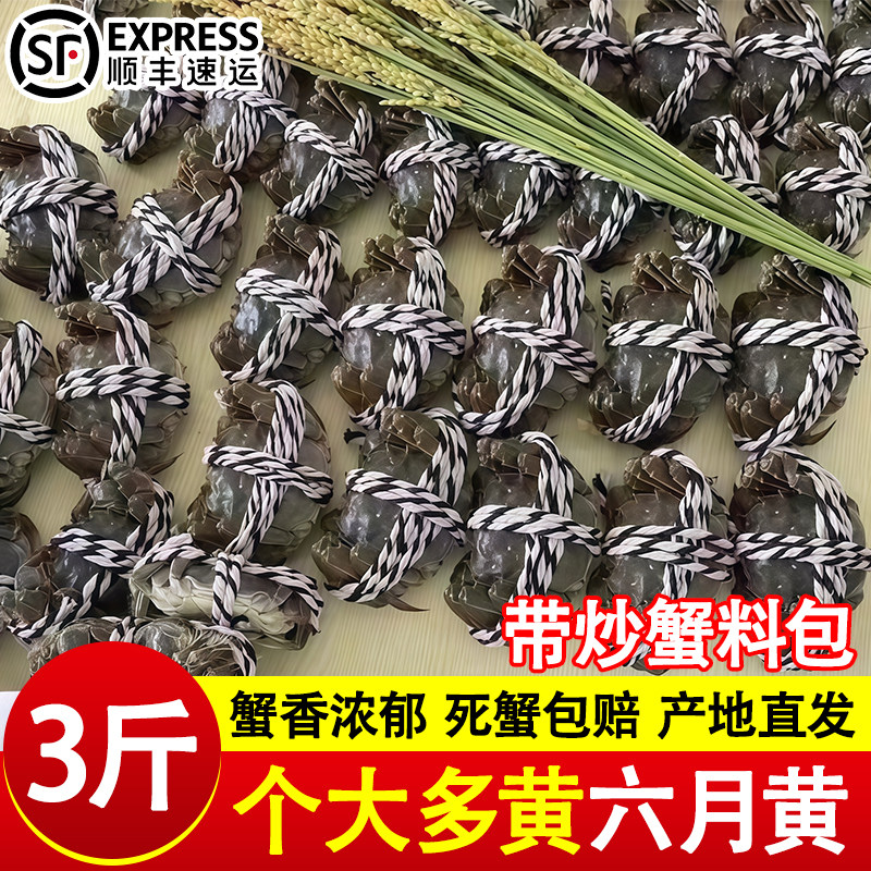 六月黄盘锦河蟹小闸蟹稻田蟹小螃蟹公母蟹鲜活大闸蟹活蟹商用批发