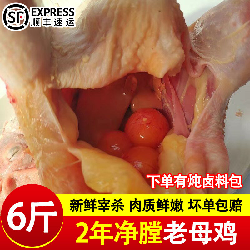 老母鸡土鸡农家散养走地鸡正宗新鲜现杀整只炖汤笨鸡柴鸡冷冻皖南