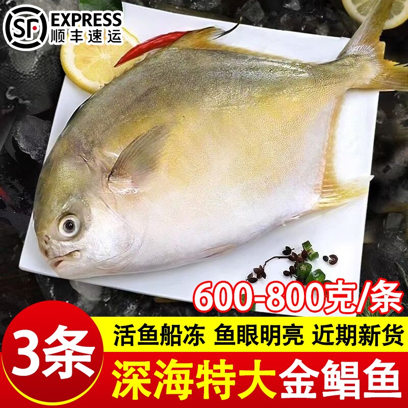新货金鲳鱼新鲜镜鱼海鱼鲳鱼金昌鱼鱼类海鲜水产鲜活冷冻顺丰包邮