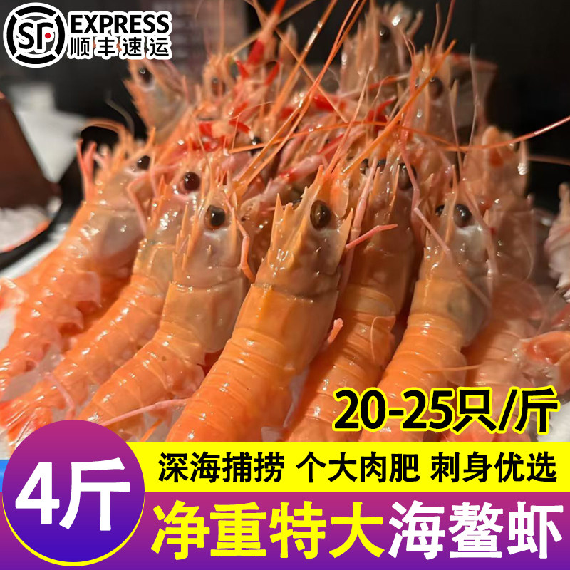 海螯虾新鲜活野生深海鳌虾刺身甜虾日料非新西兰熬虾海鲜海虾顺丰