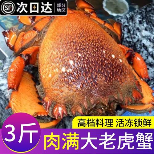 老虎蟹鲜活冷冻贵妃蟹海捕大老虎蟹冰鲜虎头蟹海鲜商用批发顺丰