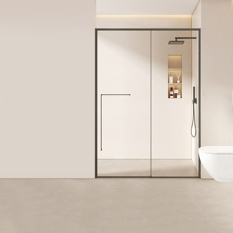 帝王洁具一字型淋浴房洗澡干湿分离浴室隔断玻璃门简易整体小户型