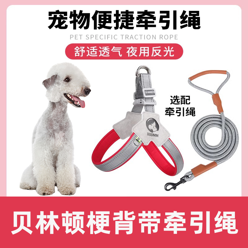 贝林顿梗专用狗狗胸背带牵引绳中小型犬脖圈背心式遛狗绳宠物项圈
