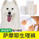 萨摩耶生理纸尿裤 尿不湿月经母狗狗姨妈巾公狗专用卫生女经期裤
