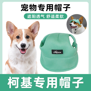 宠物狗狗外出拍照露耳朵棒球帽 柯基专用遮阳帽子可调节不勒夏季