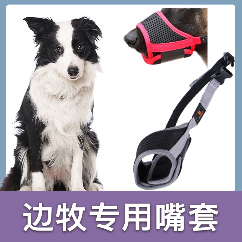 边牧犬专用狗嘴套防咬叫可喝水防乱吃口罩宠物止吠器小型狗嘴罩怎么样,好用不?