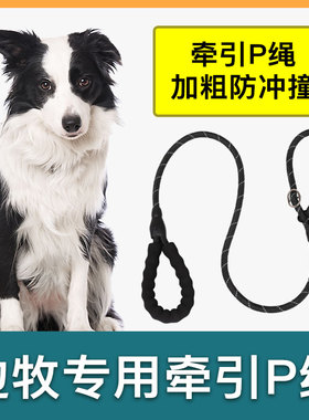 边牧犬专用牵引绳狗狗绳子防爆冲P链遛狗防挣脱大小型犬拴狗绳
