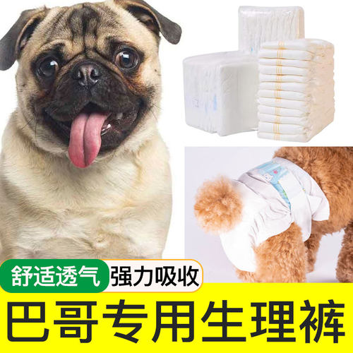 巴哥宠物生理纸尿裤母狗