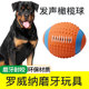 罗威纳专用狗狗玩具幼犬耐咬磨牙发声解闷器小狗橄榄球足球大型犬