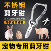 宠物专用不锈钢剪牙钳仓鼠荷兰猪剪牙钳兽用仔猪用断尾兔子剪牙器