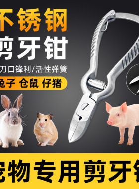 宠物专用不锈钢剪牙钳