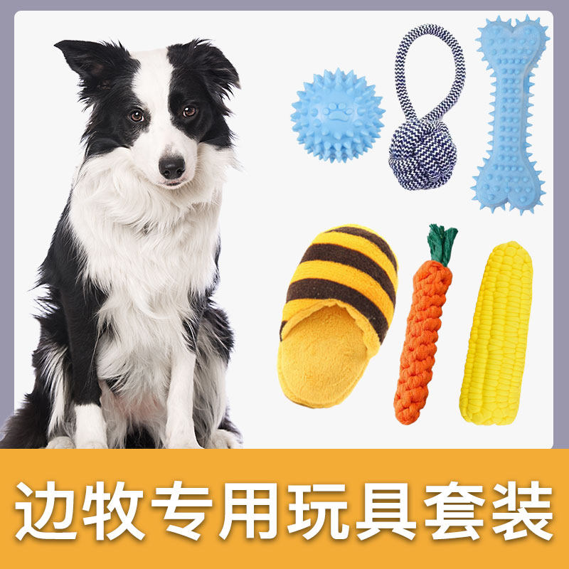 边牧犬专用玩具套装耐咬发声球宠物狗磨牙玩具小型犬幼犬成犬解闷