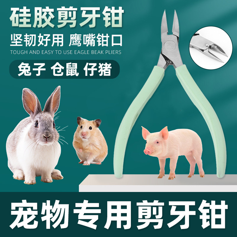 宠物专用不锈钢剪牙钳兽用仓鼠荷兰猪兔子剪牙钳仔猪用断尾剪牙器