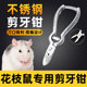花枝鼠专用不锈钢剪牙钳小宠仓鼠剪牙钳兽用仔猪用断尾兔子剪牙器
