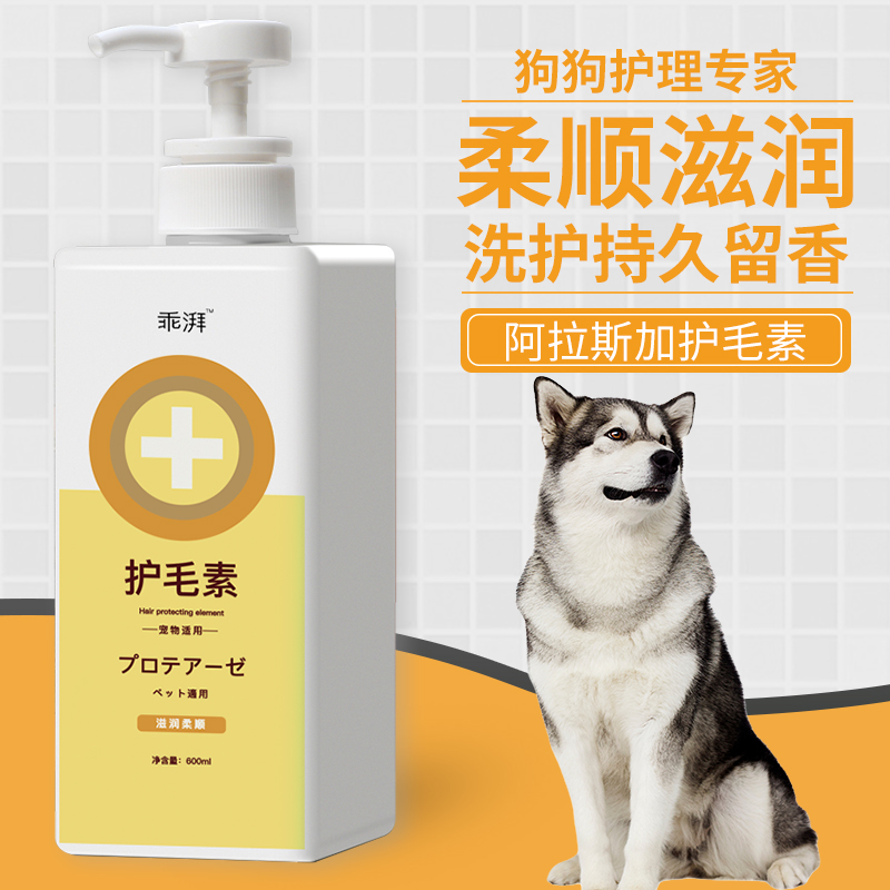 阿拉斯加护毛素蓬松柔顺不打结狗