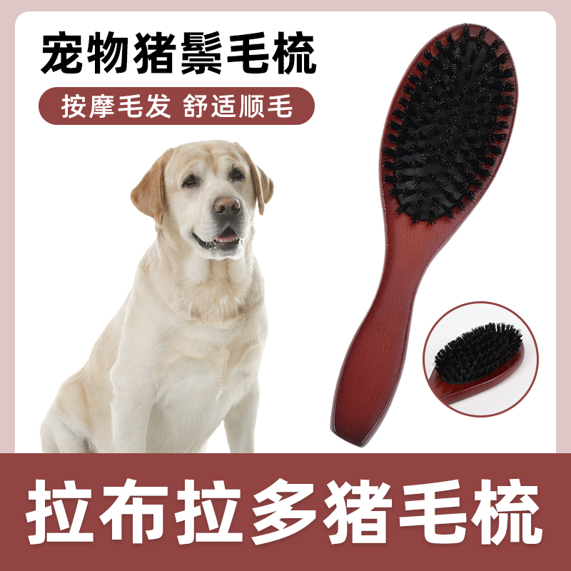 拉布拉多专用猪鬃毛刷宠物狗狗梳子去浮毛蓬松脱毛开结刷毛清理器