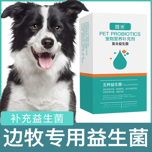 边牧益生菌粉宠物犬用成犬通用