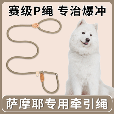 萨摩耶狗狗绳子防爆冲P链遛狗