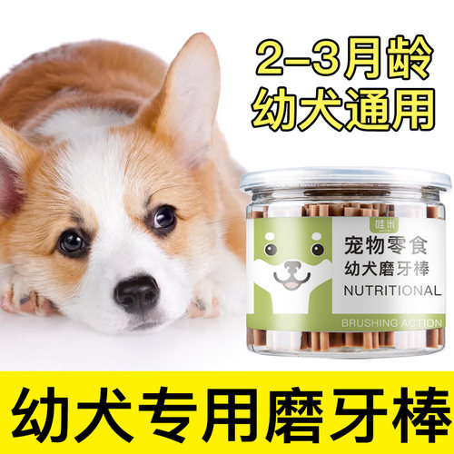 小狗狗奶狗磨牙棒幼犬