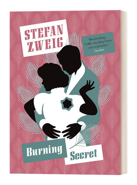 英文原版 The burning secret Pushkin Press 燃烧的秘密 Pushkin收藏系列 Stefan Zwei斯蒂芬茨威格 英文版 进口英语原版书籍