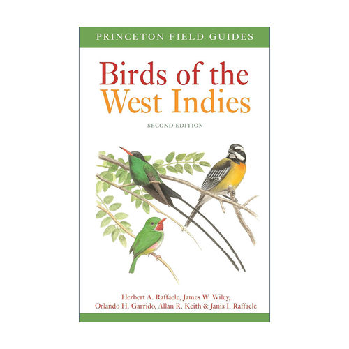 英文原版 Birds of the West Indies 西印度群岛的鸟类 第二版 普林斯顿野外指南 Herbert A. Raffaele英文版 进口英语原版书籍