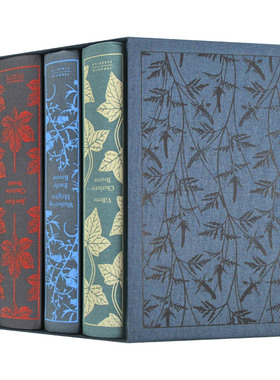 勃朗特姐妹作品4册精装 英文原版 The Brontë Sisters Boxed Set 企鹅经典文学 Penguin Classics 英文版进口原版英语书籍