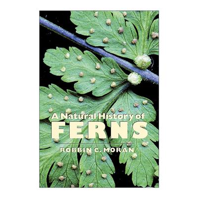 英文原版 A Natural History of Ferns 蕨类植物的秘密生活 英文版 进口英语原版书籍