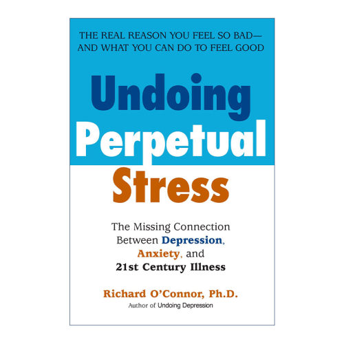 英文原版 Undoing Perpetual Stress 解除永久压力 抑郁 焦虑和21世纪疾病之间缺失的联系 Richard O'Connor 进口英语原版书籍