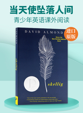 当天使坠落人间 英文原版小说 Skellig 普林兹文学奖 英文版青少年英语课外阅读 David Almond 戴维阿蒙德 进口原版书籍