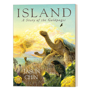 一座岛 Island Story 英文版 书籍 英文原版 Chin the 百科绘本 600万年 Galapagos 进口英语原版 凯迪克奖作者Jason