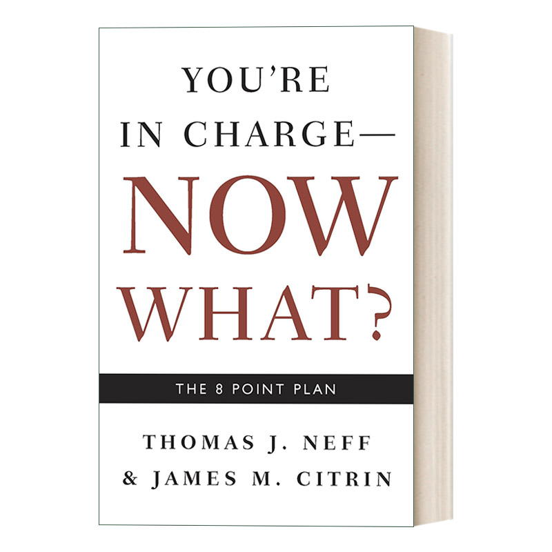 英文原版 You're in Charge  Now What? 你是负责人，现在怎么办呢？八大计划 职场 Thomas J. Neff 英文版 进口英语原版书籍