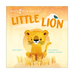 英文原版 Little Lion A Day in the Life of a Lion Cub 小狮子的一天 儿童动物精装绘本 Really Wild Families 进口英语原版书籍