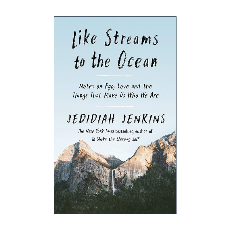 英文原版 Like Streams to the Ocean 似溪流入海 关于自我 爱和那些造就我们的一切 杰迪迪亚·詹金斯 精装 进口英语原版书籍