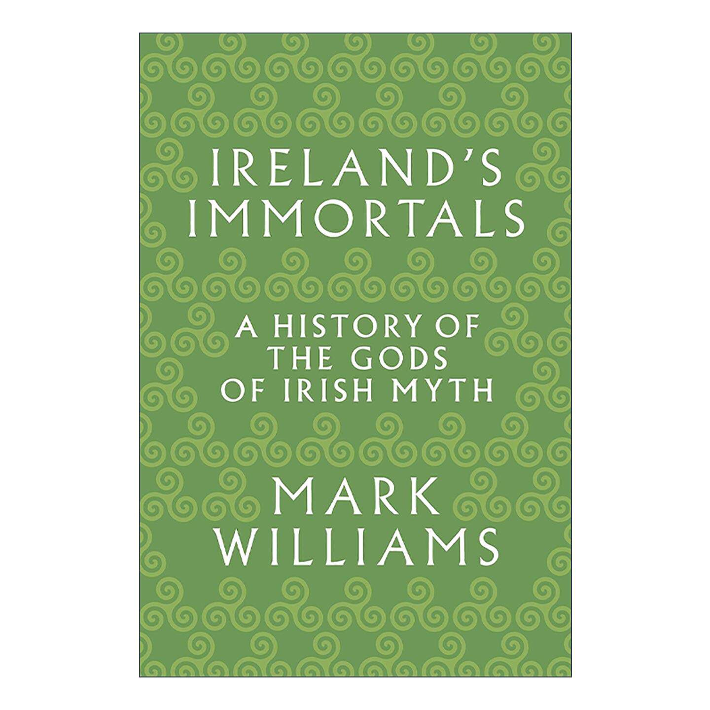 英文原版 Ireland's Immortals 爱尔兰的神 爱尔兰神话中神的历史 中世纪 凯尔特 牛津大学研究员Mark Williams 进口英语原版书籍