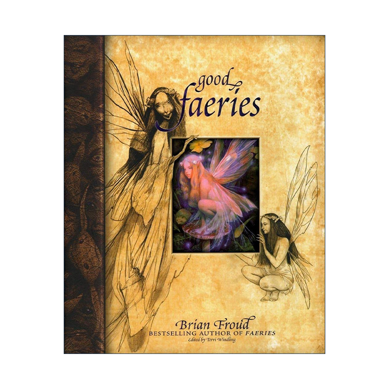 英文原版 Good Faeries Bad Faeries 好仙女坏仙女 精灵魔法世界 精装 英文版 进口英语原版书籍