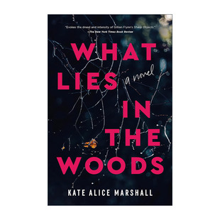 树林里藏着什么 书籍 Lies 进口英语原版 英文版 惊悚小说 Woods the What 英文原版