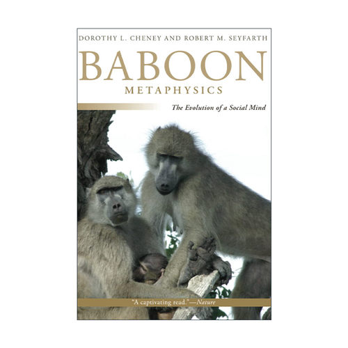 英文原版 Baboon Metaphysics 狒狒形而上学 社会心智的进化 生物学教授Dorothy L. Cheney 英文版 进口英语原版书籍