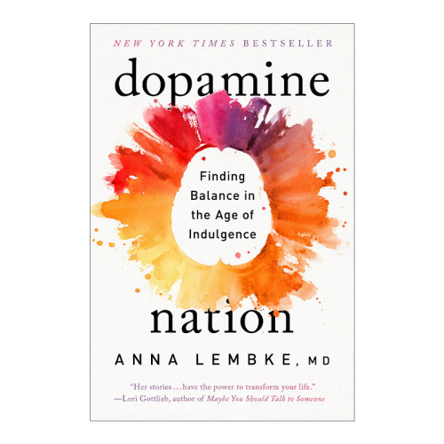 英文原版 Dopamine Nation 多巴胺国度 临床心理学 医学 Anna Lembke 英文版 进口英语原版书籍