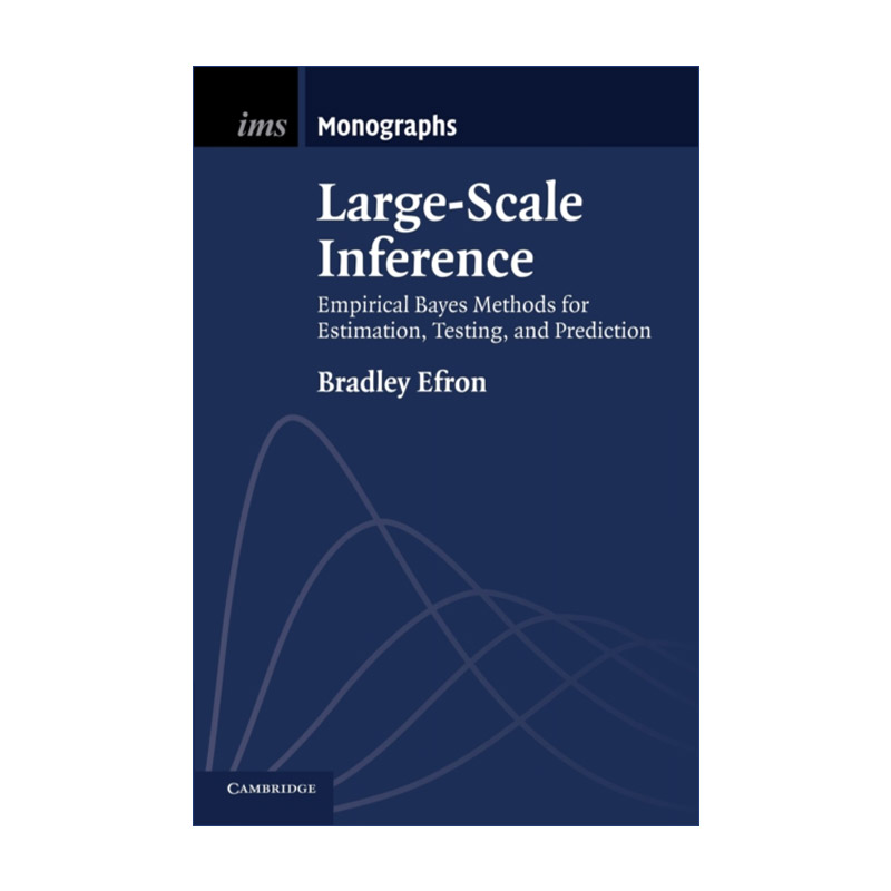 英文原版 Large-Scale Inference 大规模统计推断 数理统计学会专著系列 英文版 进口英语原版书籍