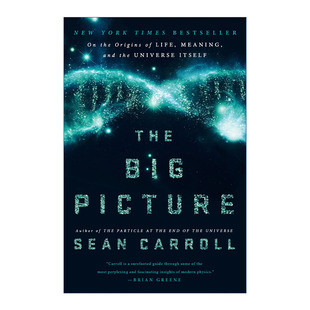 起源 意义和宇宙本身 大图景 论生命 Picture Carroll Sean 英文原版 精装 Big The 进口英语原版 英文版 书籍