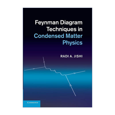 英文原版 Feynman Diagram Techniques in Condensed Matter Physics 凝聚态物理中的费曼图技巧 Radi A. Jishi 进口英语原版书籍