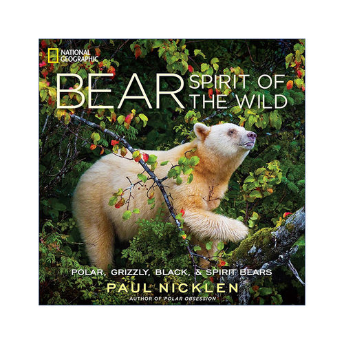 英文原版 Bear 熊 野性之灵 国家地理摄影师Paul Nicklen 精装自然摄影艺术图册 英文版 进口英语原版书籍
