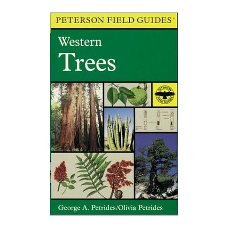 英文原版 A Peterson Field Guide to Western Trees 皮特森图鉴之美西及加拿大的树 第2版 英文版 进口英语原版书籍
