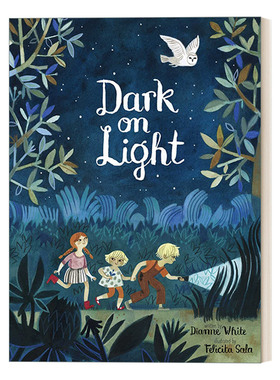 英文原版绘本 Dark on Light 日落后的旅程 精装绘本  Felicita Sala插画 英文版 进口英语原版书籍