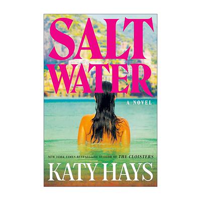英文原版 Saltwater 咸水 盐水 惊悚悬疑小说 Katy Hays 英文版 进口英语原版书籍