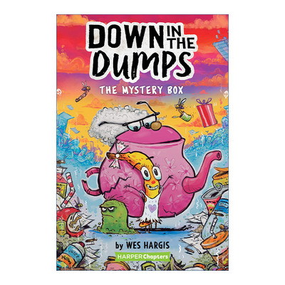 英文原版 Down in the Dumps #1 The Mystery Box 垃圾场里的友谊故事系列1 神秘盒子 全彩章节书 英文版 进口英语原版书籍