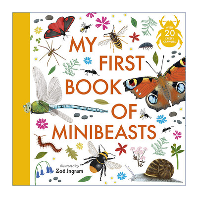 英文原版 My First Book of Minibeasts 我的第一本迷你昆虫书 精装科普绘本 英文版 进口英语原版书籍