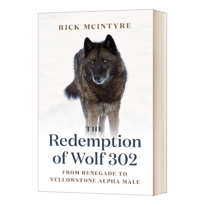 英文原版 精装 The Redemption of Wolf 302 狼302 黄石公园的狼系列3 英文版 进口英语原版书籍